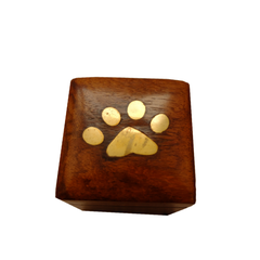 Small Paw Box